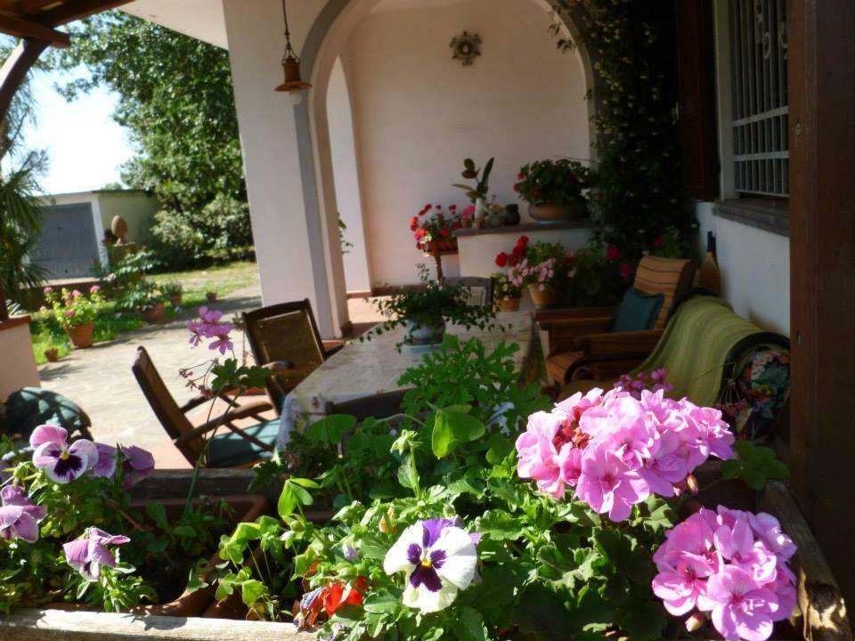 B&B Carla Pise Extérieur photo