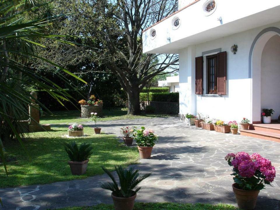 B&B Carla Pise Extérieur photo