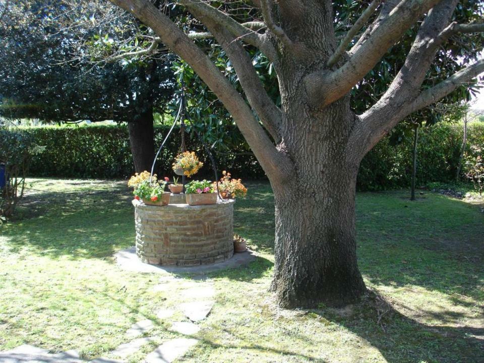 B&B Carla Pise Extérieur photo